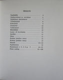 H39 Uudet Nyplaysmallit by Eeva-Liisa Kortelahti